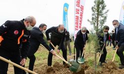 Kahramanmaraş'ta fidan dikimi haftası nedeniyle fidan dikildi!