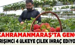 Kahramanmaraş'ta genç girişimci 4 ülkeye çilek ihraç ediyor!