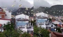 Fırtına Etkisini Gösterdi: Bir Evin Çatısı Uçurdu