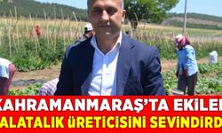 Kahramanmaraş'ta asırlık tohumlar toprakla buluştu!