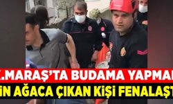 Kahramanmaraş'ta budama yapmak için çıktığı ağaçta fenalaşan kişi hastaneye kaldırıldı!