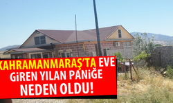 Kahramanmaraş'ta eve giren yılan paniğe neden oldu!