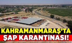 Kahramanmaraş'ta şap karantinası!