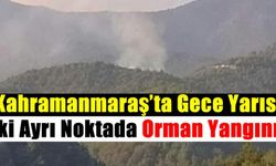 Kahramanmaraş’ta gece yarısı 2 ayrı noktada orman yangını