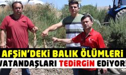 Afşin’deki Toplu Balık Ölümleri Vatandaşları Tedirgin Ediyor!