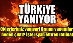 Ciğerlerimiz yanıyor! Türkiye Yanıyor Yangınlar Neden Çıktı?