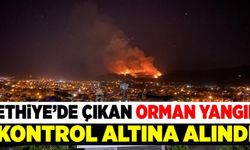 Fethiye'de çıkan orman yangını kontrol altına alındı