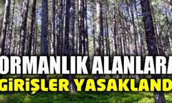 İzmir ve Balıkesir'de ormanlara girişler yasaklandı