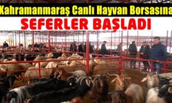 Kahramanmaraş'ta Canlı Hayvan Borsası’na Ring Seferleri Başladı