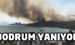 Kütahya, Alanya, Didim ve Bodrum Yanıyor
