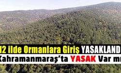 Pek çok ilde ormanlık alanlarda piknik yapmak yasaklandı! Kahramanmaraş'ta yasak var mı?