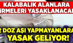 Restoran sinema spor salonları gibi alanlara aşı zorunluluğu getirilecek!