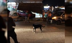 Adana'da otomobil kıraathaneye girdi!