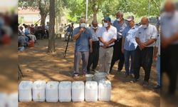 Kahramanmaraş'ta dal ilaçlama gerçekleştirildi!
