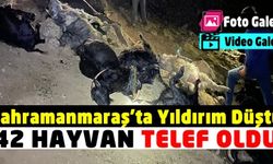 Kahramanmaraş'ta yıldırım düştü 42 hayvan telef oldu
