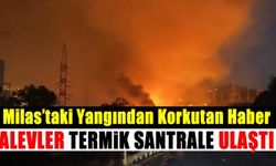 Milas'taki Yangın Kemerköy Termik Santraline Ulaştı