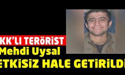PKK'lı terörist Mehdi Uysal Öldürüldü