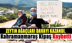 Zeytin ağaçları davayı kazandı, Kahramanmaraş Kipaş kaybetti