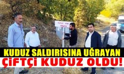 Kurt saldırısına uğrayan çiftçinin kuduz testi pozitif çıktı!