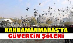 Kahramanmaraş'ta güvercin şöleni!