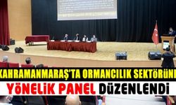 Kahramanmaraş'ta orman yangınlarındaki artış nedeniyle sunum yapıldı