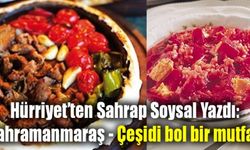 Hürriyet'ten Sahrap Soysal Yazdı: Kahramanmaraş - Çeşidi bol bir mutfak