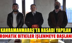 Kahramanmaraş'ta aromatik bitkiler çiftçilere hizmet veriyor!