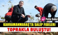 Kahramanmaraş'ta salep fideleri toprakla buluştu!
