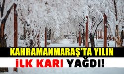 Kahramanmaraş'ta yılın il karı yağdı!