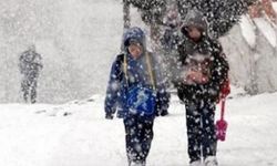 Konya, Tunceli, Aksaray ve Kars'ta yarın okullar tatil edildi 20 Aralık 2021