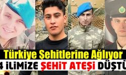Uzman Çavuşlar Ali Sarı, İdris Aksöz, Emre Ceylan ve Doğanay Çelik şehit oldu