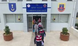 Hatay merkezli suç örgütüne operasyon: 1 tutuklama