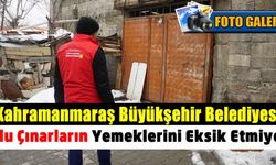 Kahramanmaraş'ta Ulu Çınarların Yemekleri Eksik Edilmiyor