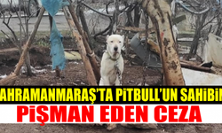 Kahramanmaraş’ta pitbull denetimi!