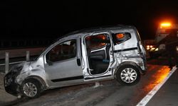 Karaman'da yola çıkan köpek kazaya neden oldu Mediha Barçın öldü, 3 kişi yaralandı