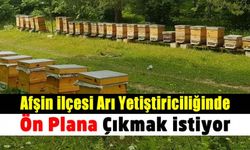 Kahramanmaraş'ın ilçesi Afşin arı yetiştiriciliğinde öne çıkmak istiyor