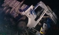 Mersin'de yoldan çıkarak devrilen kamyonun sürücüsü yaralandı