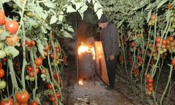 Mersin'de çiftçiler 28 yıl sonra zirai don nöbeti tuttu