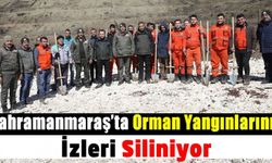 Orman Bölge Müdürü Mustafa Koç: 'Kahramanmaraş'ta yaklaşık 5 milyon fidan toprakla buluşacak'