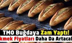Toprak Mahsulleri Ofisi Buğdaya Zam Yaptı! Ekmek Fiyatlarında Artış Bekleniyor!