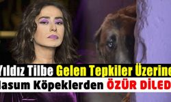 Yıldız Tilbe 'zehirli et verip gebertin' dedi! Tepki gelince masum köpeklerden özür diledi