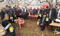 Kahramanmaraş'ta Antepfıstığı Dal Güvesi İle Biyoteknik Mücadele Çalışmaları Başladı