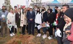 Kahramanmaraş'ta 30 Bin Fidan Toprakla Buluştu