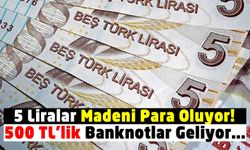 Türk Lirası'ndaki değer kaybı: 500 TL'lik kağıt para ve 5 TL'lik madeni para geliyor!