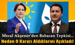 Meral Akşener’den Ali Babacan yorumu: 'Nedir Bu Mana Bilmiyorum'
