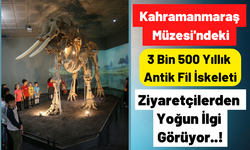  Kahramanmaraş Arkeoloji Müzesi Yıllık Ortalama 30 Bin Ziyaretçi Ağırlıyor!