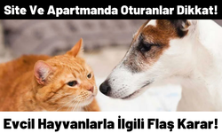 Yargıtay'dan emsal karar! Sitelerde evcil hayvan yasak mı?
