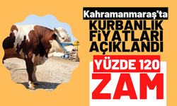 Kahramanmaraş'ta kurbanlık fiyatları belli oldu 2022 düve tosun inek toklu iğdiş fiyatları