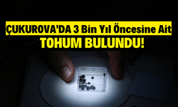 Adana'da Misis Antik Kenti Kazılarında '3 bin yıllık' Tohum Bulundu!