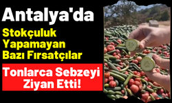 Fırsatçılar yine iş başında! Antalya'da tonlarca sebzeyi dağıtmak yerine boş araziye döktüler!